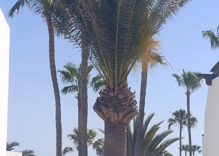 Blue Ocean 아파트 *